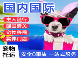 梅县航空货运国际宠物托运 【国